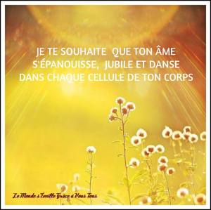 11045492_887588187972100_6333371740884379117_n