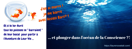 bars-et-si-le-1er-avril